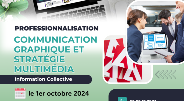 Professionnalisation en Communication, Création Graphique et Stratégie Multimédia : Une Formation Innovante du GRETA du Limousin